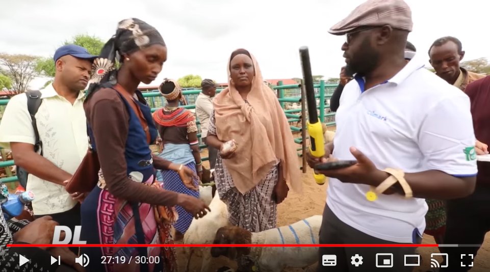 CTAflash's tweet photo. Nice @VOASwahili feature on how CTA's #CLIMARK project supports Kenyan 🇰🇪 pastoralists 🐐with critical data through digitalisation📱 of a local market📈.  📺https://t.co/I4px035pto https://t.co/SdRPbnuXzV