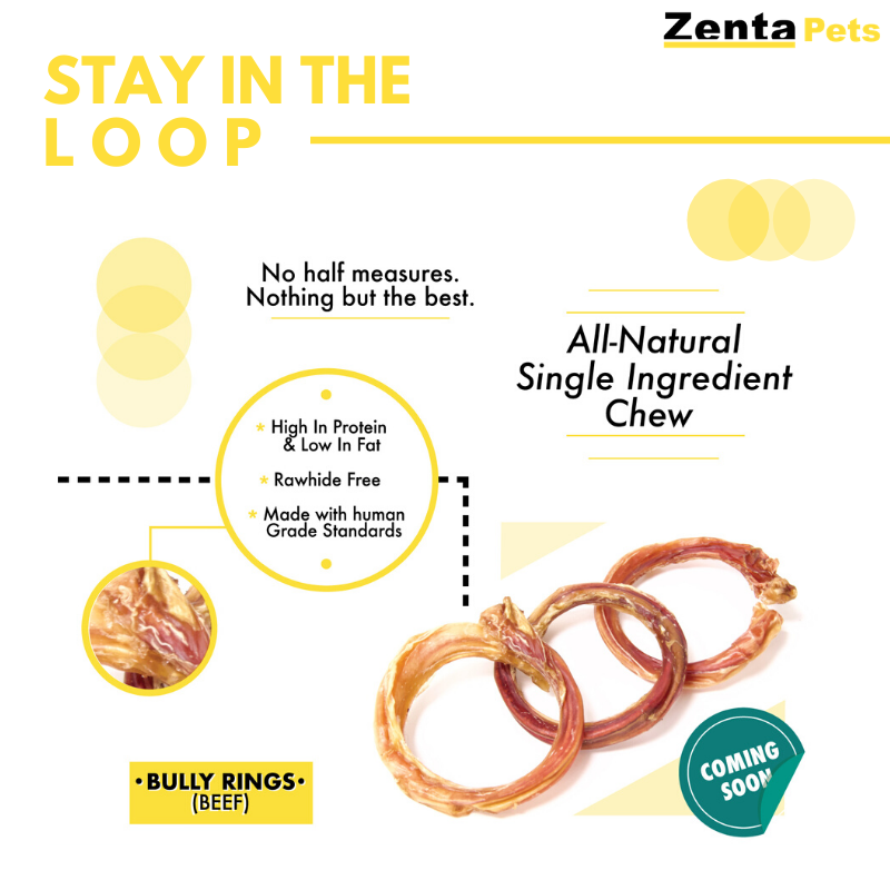 PetsZenta's tweet photo. N E W product alert ‼

same nutritious bully, brand n e w shape! our 100% all-natural beef pizzle is free of additives, hormones, + chemicals! this unique shaped treat is the perfect creative toy for those heavy chewers!

no half measures, nothing but the best 

#zentapets https://t.co/KEg2F5vwYL