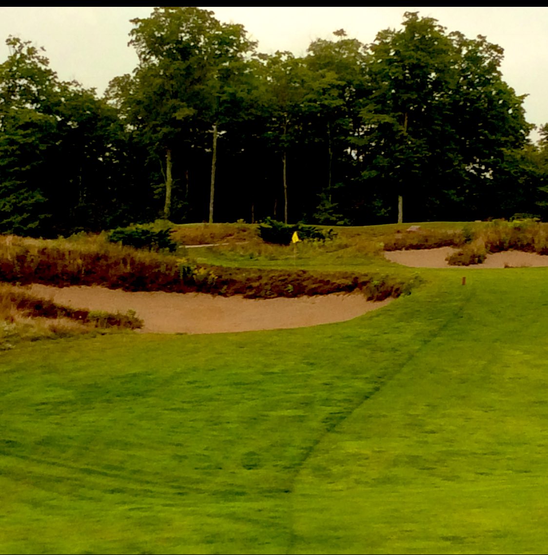 Greg Brubaker tweet media