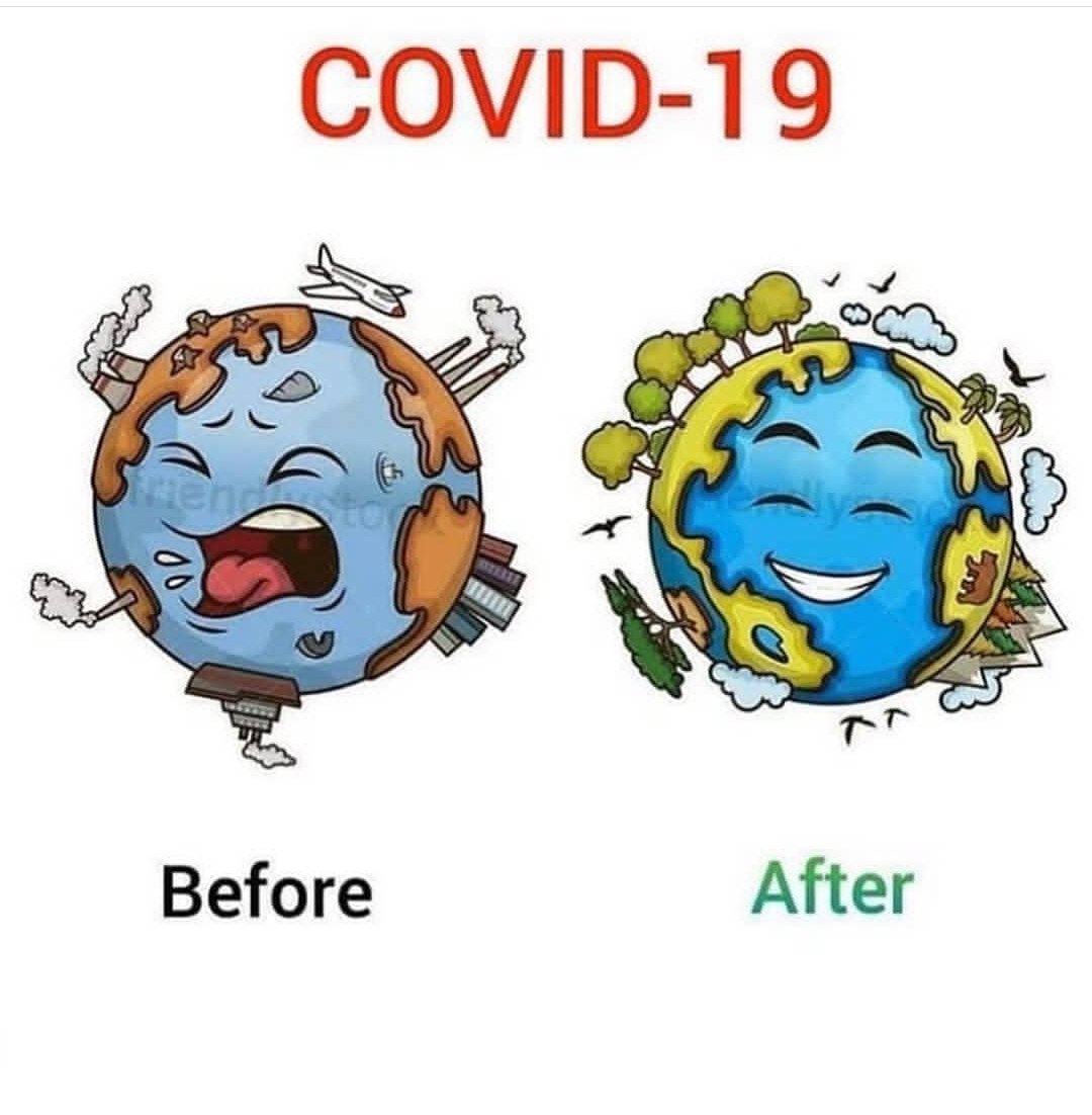 De moment.... l'únic positiu! #coronavirus #COVID19