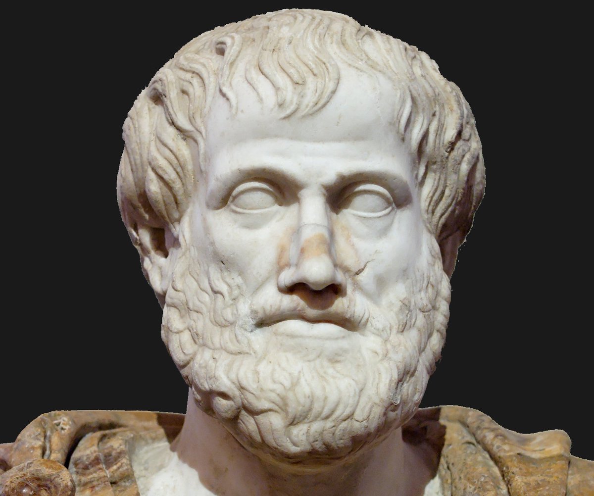 The ancient Greeks invented Democracy, and they also warned us of its weakness. A multi-ethnic (diverse) society cannot function democratically; therefore justifying the need for a dictatorship.23/