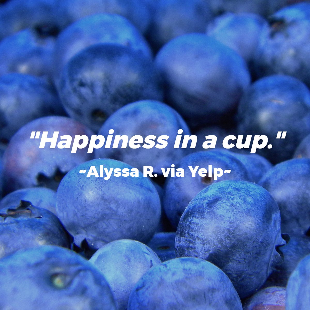 KevaLubbock's tweet photo. We immensely appreciate the continued support from our customers, and we want to do anything we can to give back to you during this time. If you're in need of a cup full of happiness, give us a call, and we'll make you one to go! https://t.co/GJyYZHx4EM