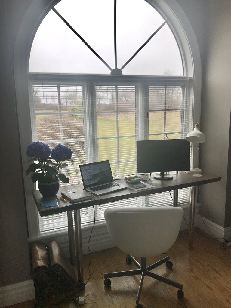 CNicHWDSB's tweet photo. Hello @SaltfleetHWDSB Storm. We miss you lots but hope you are staying home &amp; keeping well! This is my home office. The Saltfleet staff have been busy calling &amp;/or e-mailing you. That includes me too. Please check your school e-mail account &amp; your course HUB pages regularly. https://t.co/iPgVfZaVZM