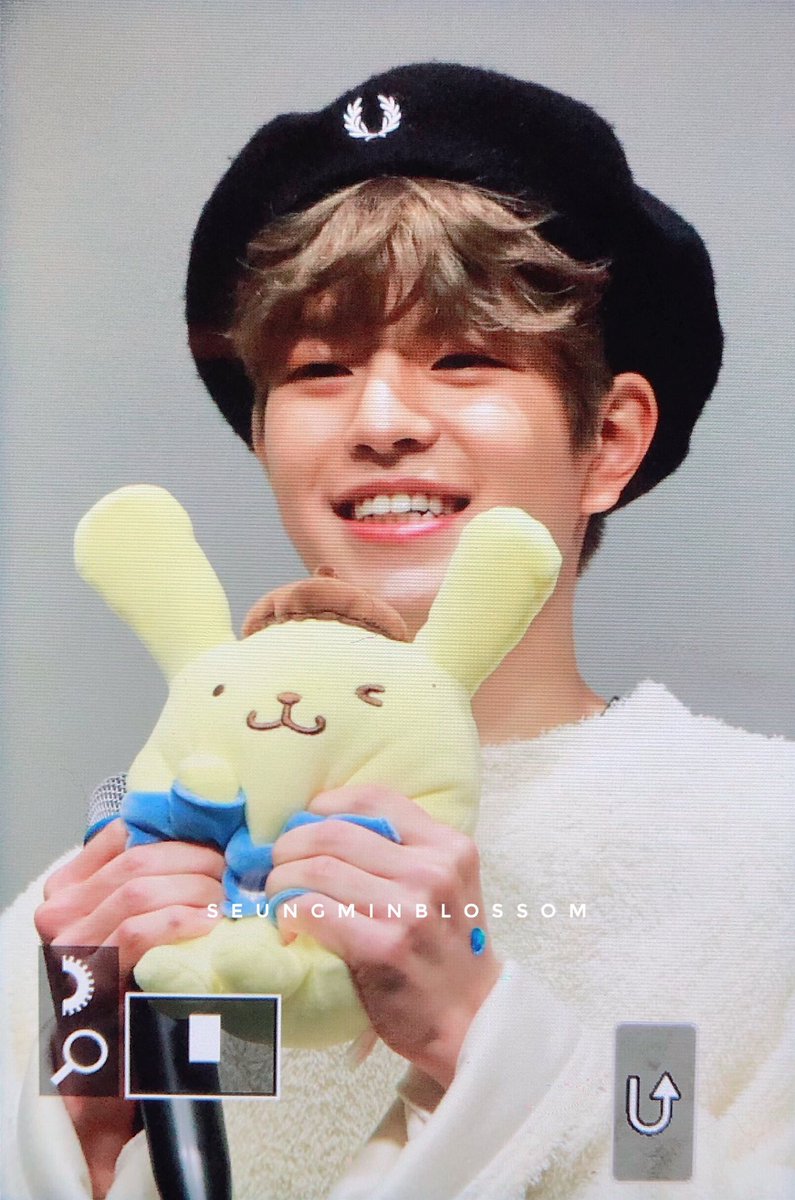 thread of seungmin w plushies