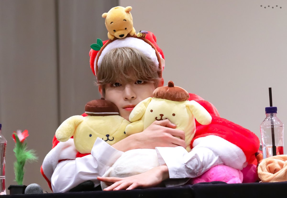 thread of seungmin w plushies