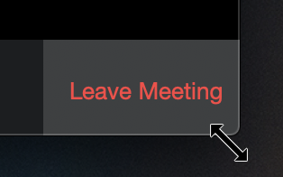 I assume the designers who design Zoom don’t actually use Zoom because ...