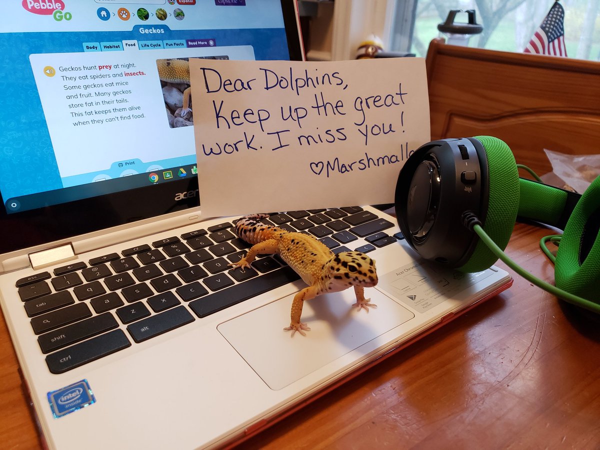 OGES Media tweet media