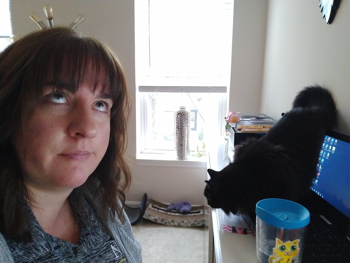 aromeeks's tweet photo. My coworker thinks it's okay to sit on my desk. https://t.co/6kXYvO9dkG