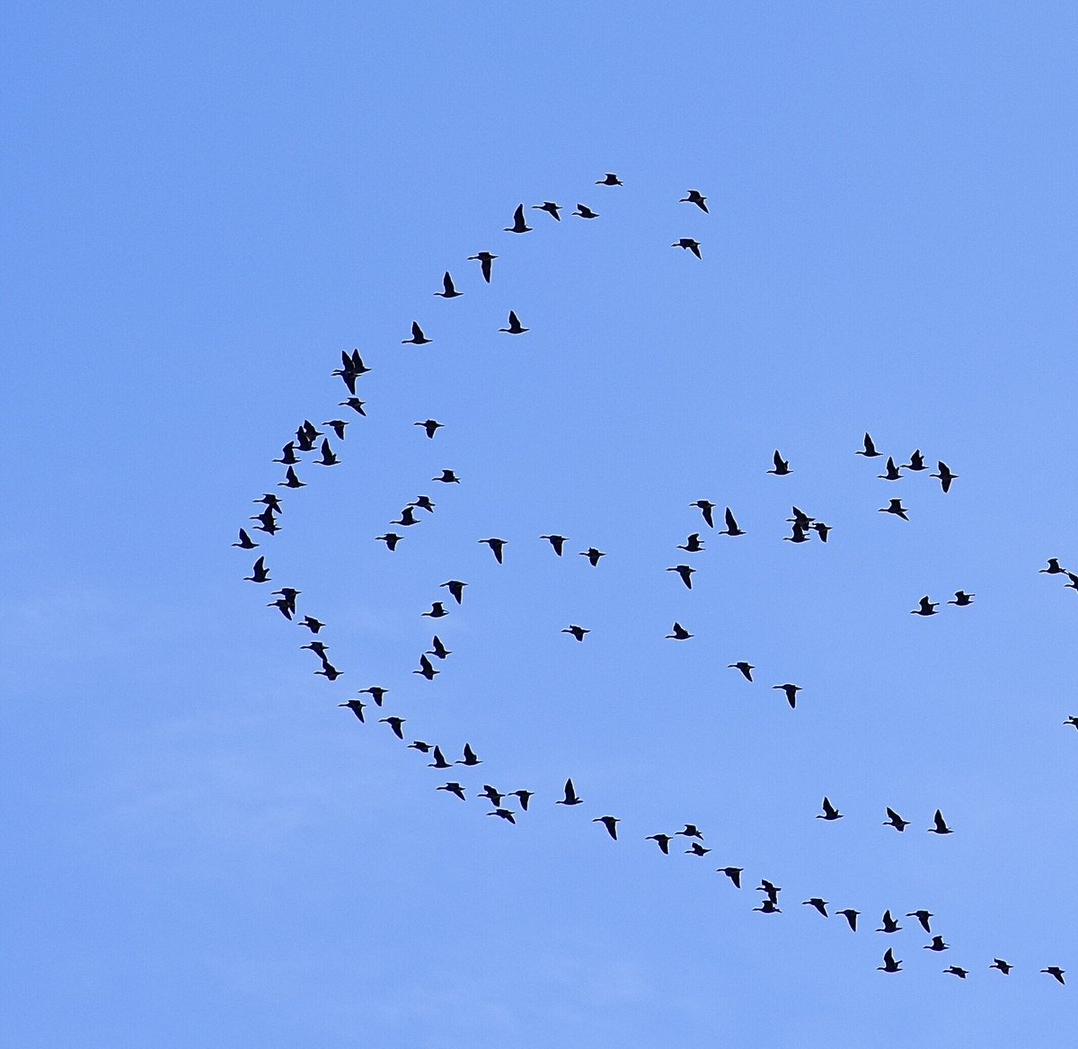 dehliedgar's tweet image. Denne gjengen bryr seg ikke om grensekontroll,og de gir oss håp,foto Edgar Dehli