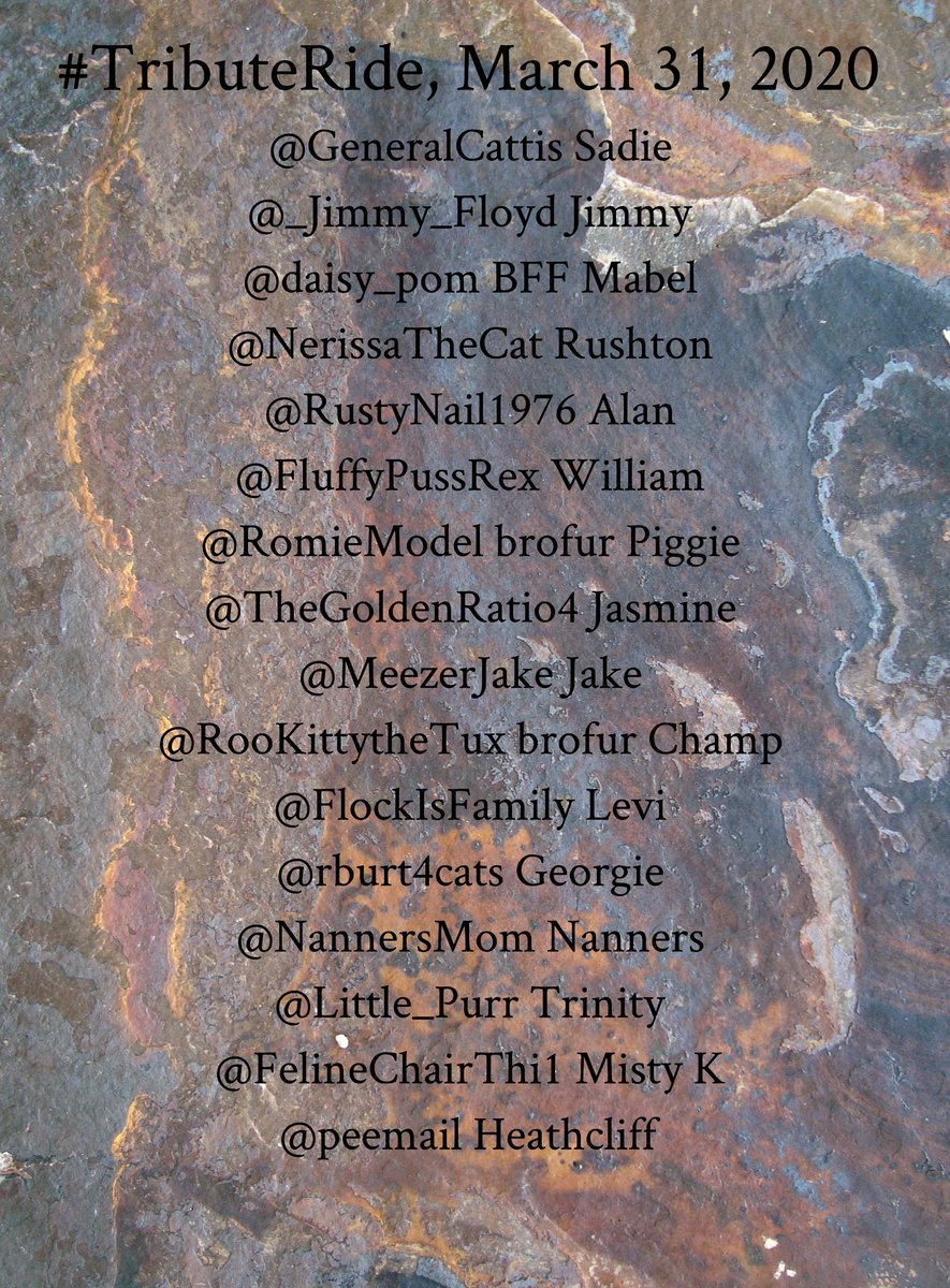 FreshOtis's tweet photo. #TributeRide #BBOT #PA https://t.co/Er50AE2h5Z