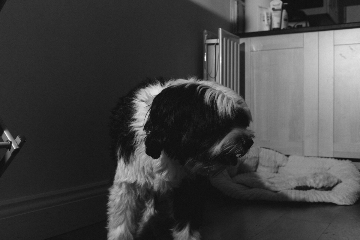 lewisbakerphoto's tweet photo. Here are a few frames during lock down at home and on a short walk around the block 

#vncollective #vncollectivelockdown #documentaryphotography #documentyourdays https://t.co/PrckHhlzWl