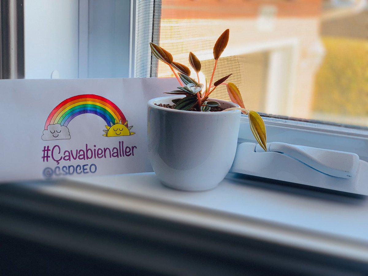 dancer_pc's tweet photo. Avec une attitude positive, on va y arriver. 🌈🌤
Restez positif; 👍🏼
Restez en sécurité; 💟
Restez chez vous.  🏡
#cavabienaller @CSDCEO https://t.co/if7sfCR49p