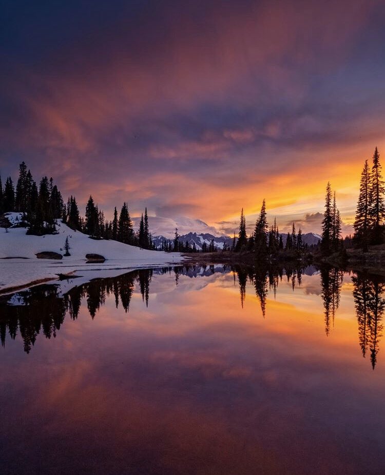 Inn3rCompasss's tweet photo. What is your favorite time of year? 😊🌞❄️🍁🌸🌻 
📍Tipsoo Lake , Washington
📷 by@ dougshearerphotography 
#TipsooLake #FollowMeTo #TravelWithYourInn3rCompass #Travel #OhThePlacesYoullGo #NaturesWonders #EarthFocus #NatureFocus #WildernessNation #WildernessCulture #Inn3rCompass https://t.co/NVWoG1uPvR