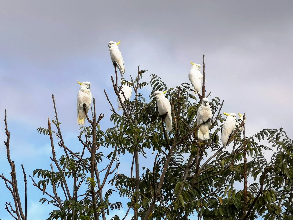 Ripple Kindness tweet media