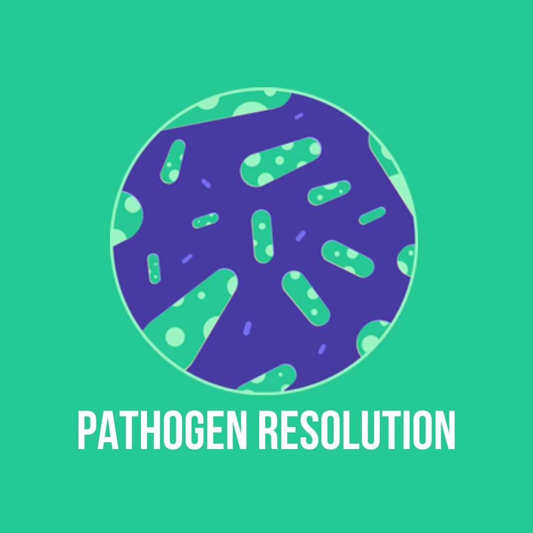 DiscHealing's tweet image. Benefit #3 of The Body Code™: Pathogen Resolution

Identify fungal, bacterial, viral, mold, or parasitic invaders that may wreak havoc on your body from the inside out.

Our new App is out NOW. Download it today to get started!

#discoverhealing #thebodycode #theemotioncode