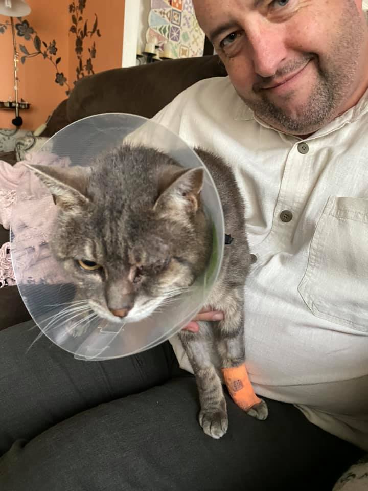 _firstworldcat's tweet photo. I've been in the wars but on the mend.  8/9 lives spent. Here I am with my fave hooman. Check it out @abcmelbourne my pet is really happy with my recovery! #petsathome https://t.co/abV2rVliq9