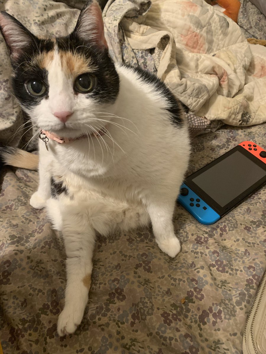 Mariahsquideri's tweet photo. why does she sit like this https://t.co/0GhBeuDWF6