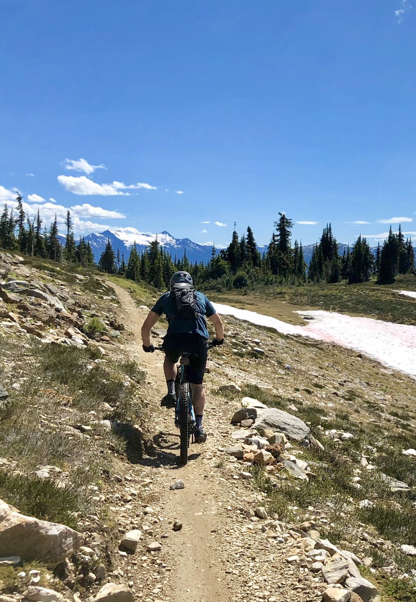 mintztrevor's tweet photo. @SeeRevelstoke @tcdixon3 #ReliveREVY https://t.co/smDoSnv4sx