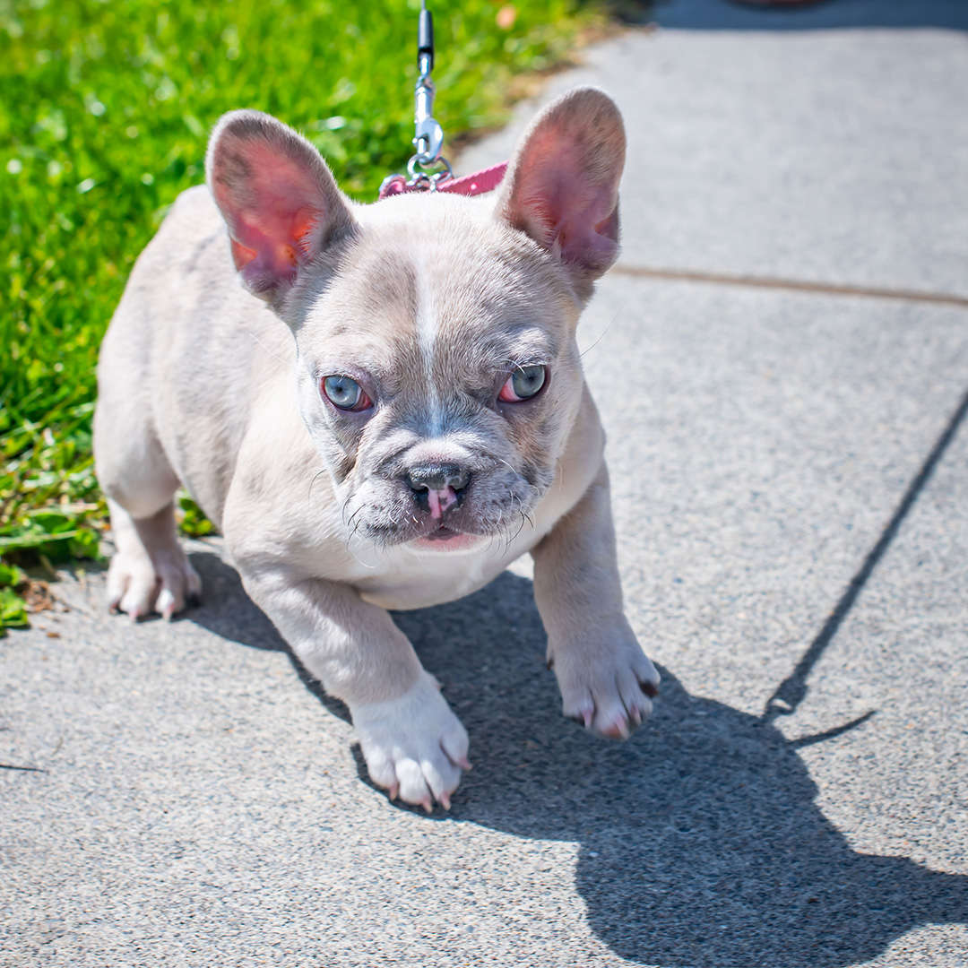 Vancouver Park, Recreation & Cultural Services tweet media