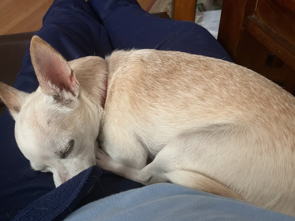 Neo is always on my lap during IV treatments.  He’s definitely Daddy’s little boy #InThisTogether #AloneTogether