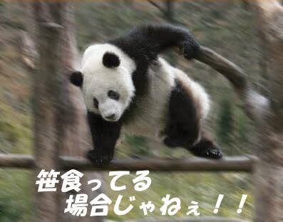 need_timeout's tweet photo. モンハンにポケモン、あつもりもイースターイベント始まったし働いてる場合じゃねぇ https://t.co/7nluslyWFR