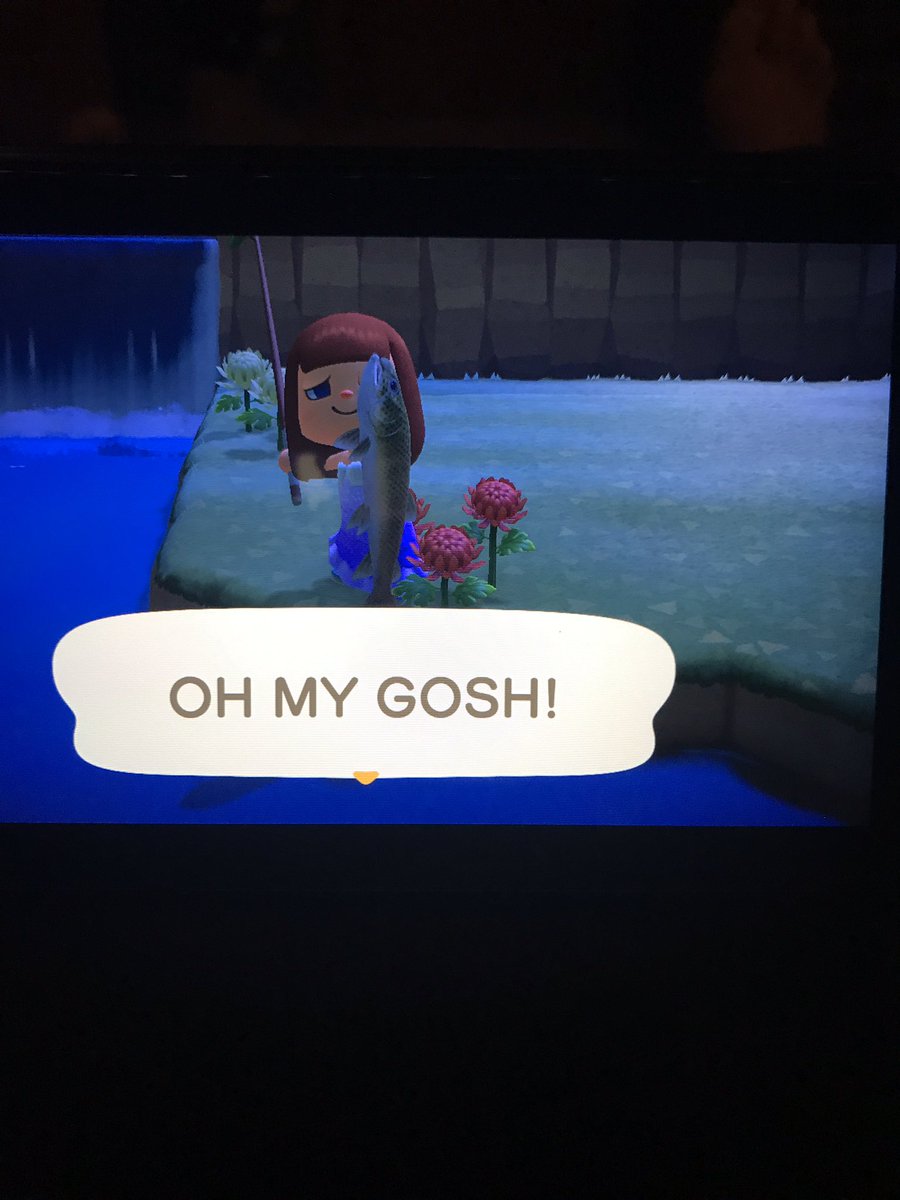 cindyt2972's tweet photo. I DID IT! I DID IT!  I caught the string fish just before times up!  #AnimalCrossing https://t.co/HyWlQJFGNF