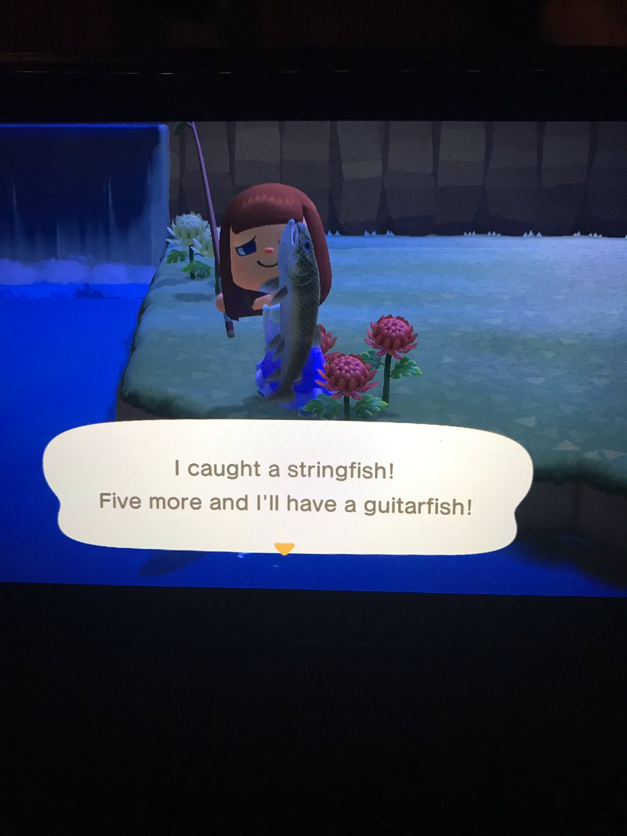cindyt2972's tweet photo. I DID IT! I DID IT!  I caught the string fish just before times up!  #AnimalCrossing https://t.co/HyWlQJFGNF
