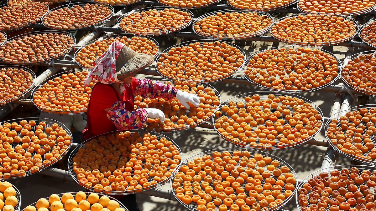 StudyingInChina's tweet photo. Are you a vegan or vegetarian? Good news: It's a great time to study in China. Food Trends in 2020: What Will China Be Eating? https://t.co/Dy9BO8TWCw https://t.co/6xLFNfrOtU