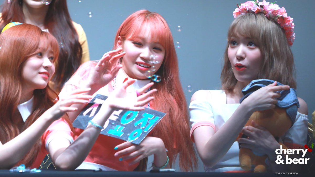 kkimyeonhee's tweet photo. 190407 비올레타 팬사인회 💛❤️🧡

#울림 #김채원 #キム・チェウォン #미야와키사쿠라 #사쿠라 #宮脇咲良 #아이즈원 #IZONE #アイズワン #김민주 #アイズワン #ミンジュ https://t.co/RnlBeZ0c0B