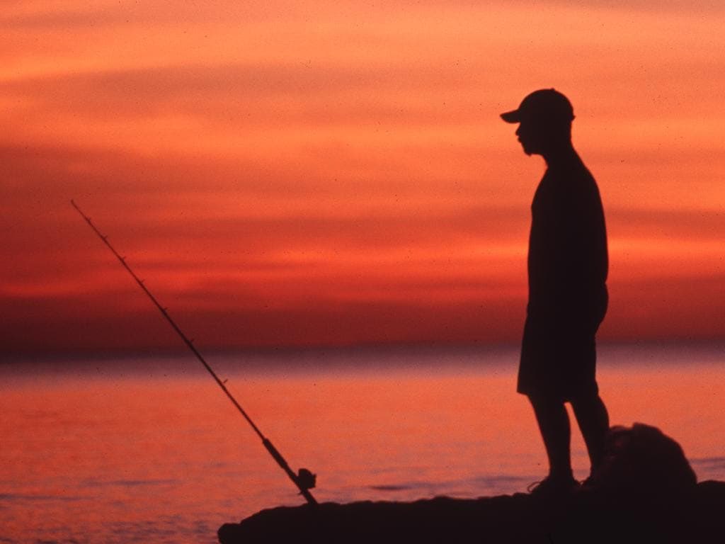 mike_Iaconelli's tweet photo. Is your local boat ramp open or closed? Should people be allowed to go fishing as long as they are following social distancing rules? Let me know how you feel? Also, we will be doing a new Ike Live this Sun at 7 PM ET about this very topic! Special guest Glenn Hughes of the ASA! https://t.co/dK4BvDvB5w