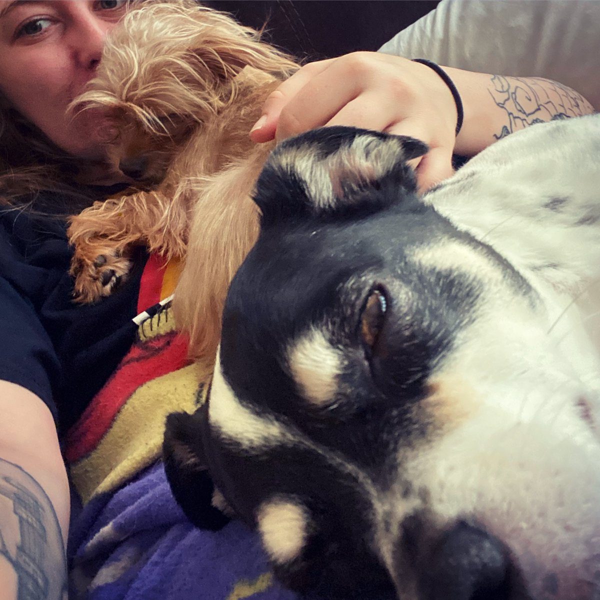 Quarantine cuddles ❤️❤️❤️
