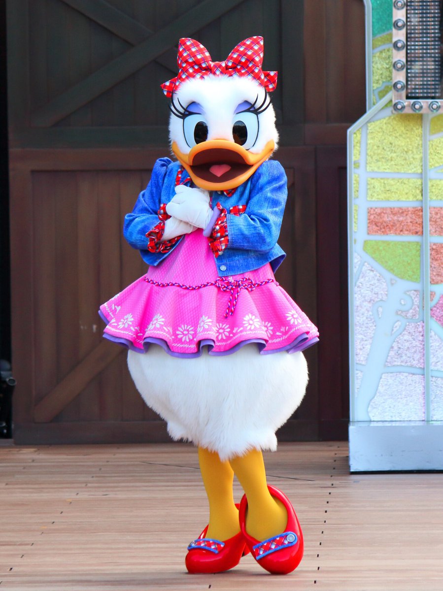 デイジーダック デイジーダック