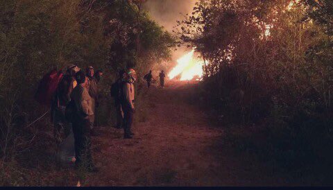 sunepinparques2's tweet photo. El #incendio de Chimborazo está dentro del “BOSQUE”😞 igualmente hay un #Flanco del #Incendio que va bajando hacia #LosHelechales que Dios mediante lo parara el Rio #ElCastaño #BomberosForestales #Guardaparques y #Voluntarios hicieron un buen trabajo en la madrugada con la https://t.co/UyW8uJUKSf