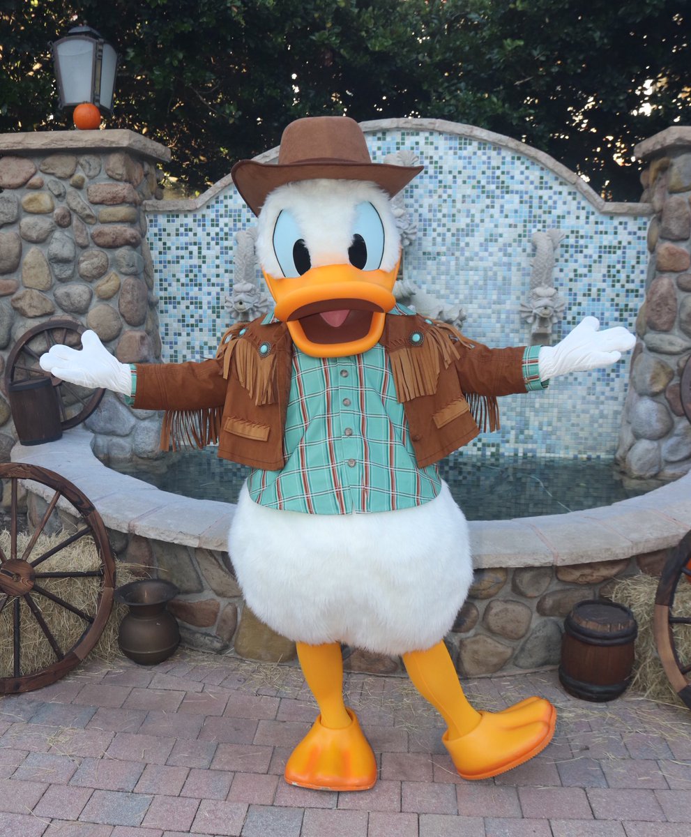 360DegreesofDis's tweet photo. #DonaldDuck in his cowboy best! #WDW #WaltDisneyWorld #DisneysSaratogaSprings #SaratogaSprings #DisneyFrontier #ドナルドダック https://t.co/zh6xzfCUH1