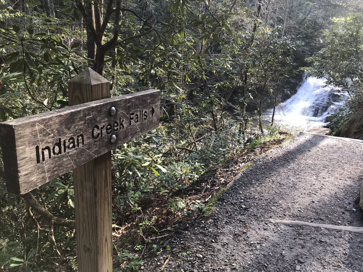 Tricia Inniger tweet media