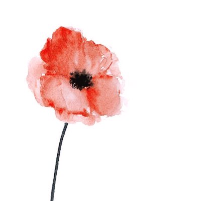 featherlemons's tweet photo. #NewProfilePic https://t.co/OVmtZPmWEY