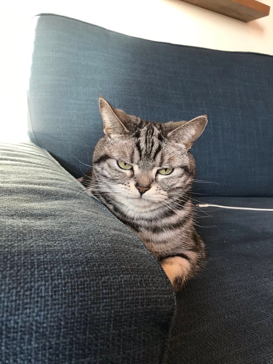 SpeakComedy's tweet photo. "What's wrong?"
Me: Nothing.
Also me: https://t.co/lz3oT809pu