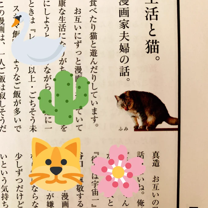 本日発売のBRUTUS犬特集に我が家の猫たちと真造さんと私のインタビューが載っています。
我が家の猫を見てください! 