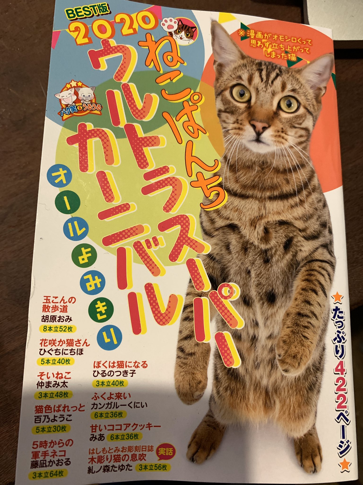 はしもとみお ねこぱんちウルトラスーパーカーニバル号にて 木彫り猫の息吹 はしもとみお彫刻日誌 ミュージシャン近藤研二さんの猫モイくんにまつわる3話掲載です モイくん ウニちゃんのスケッチは その日の空気を思い出す ぜひ読んでみて