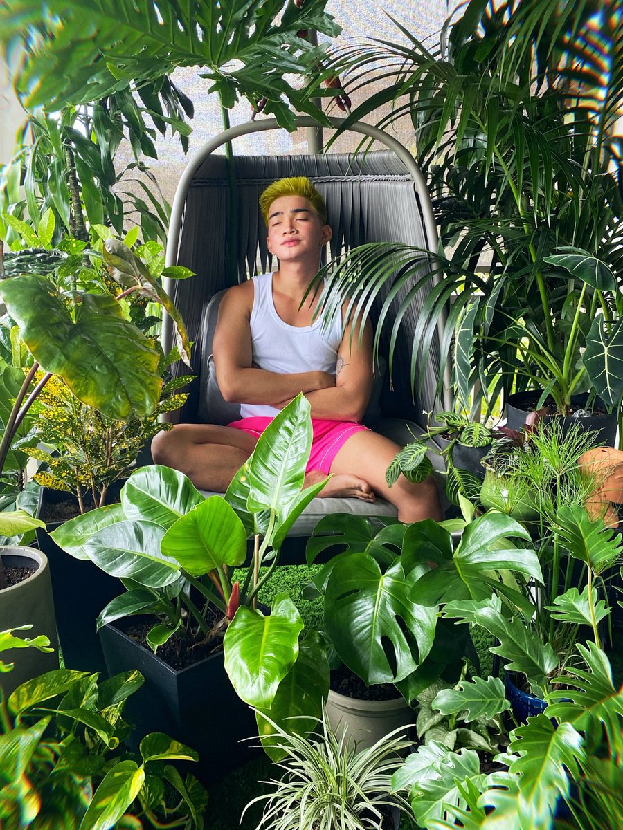 bretmanrock's tweet photo. 🍋 I’m HIGHlighter https://t.co/oR34aUEKLY