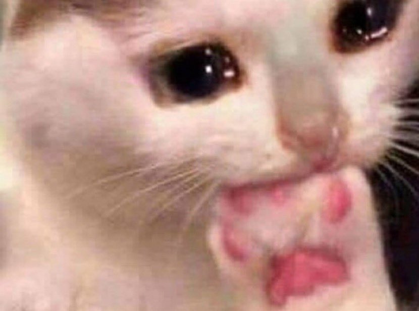 luvlyangg's tweet photo. mi gato lamiendose el poto:

yo: como vas a ser tan lindo flaco te amo con toda mi vida https://t.co/kpqNS0oug2