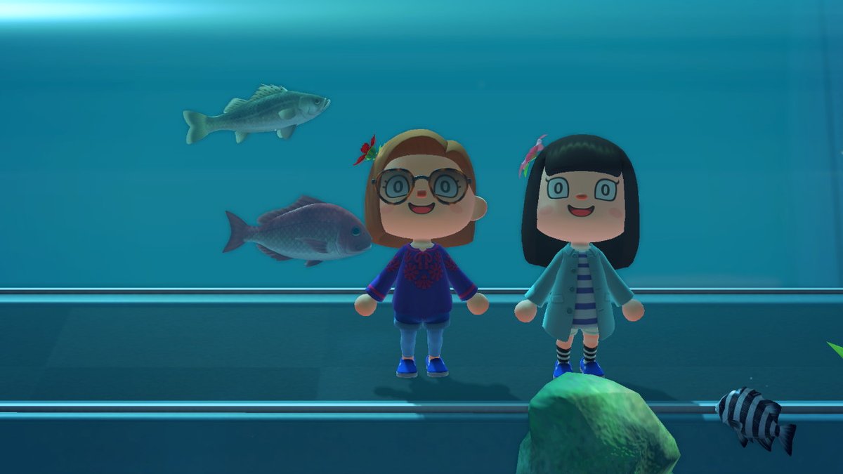 lwcodes's tweet photo. When you can't hang out irl #socialdistancing #AnimalCrossing #ACNH #NintendoSwitch https://t.co/Pmt3exAyQ4