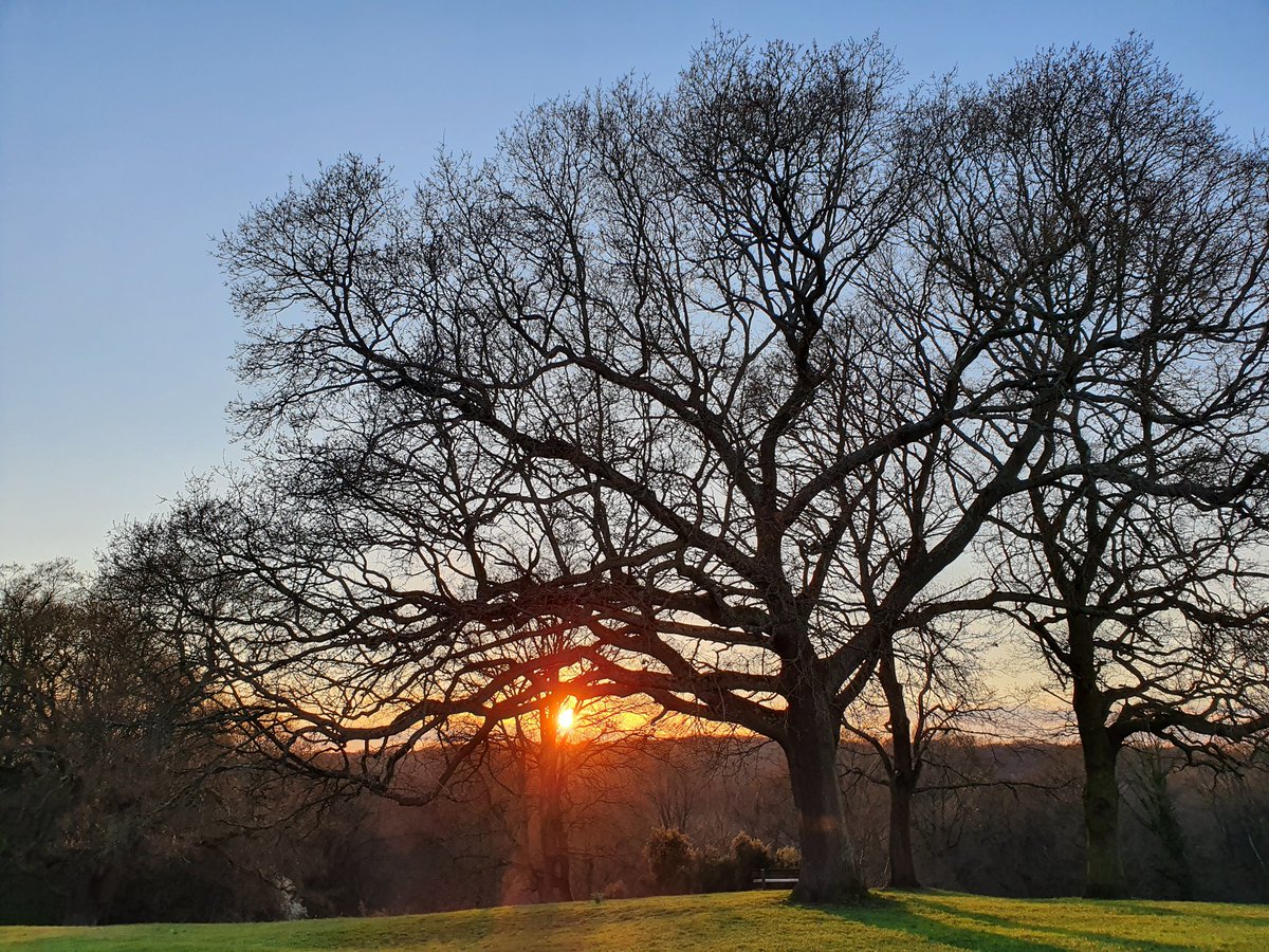 YPPsych's tweet photo. Do really like the #hourchange - welcoming #BST offering
the chance to see sunsets on my daily walk after work
#workingfromhometips
#lockdownuk
#COVID19
#cornoravirusuk
#SocialDistancing https://t.co/LATNDBpuxc
