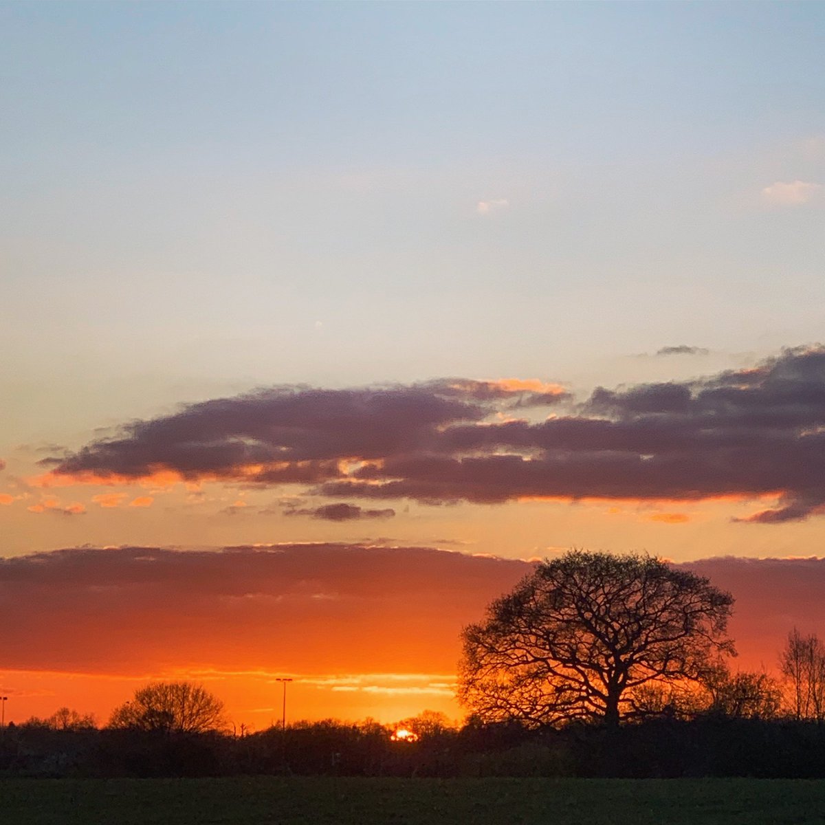 traceymel's tweet photo. Last March Sunset 🧡🌅🧡 #sunset #sunsetphotography #natureseekers https://t.co/jpnMwI4EYT