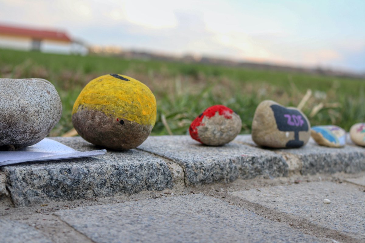 baschding's tweet photo. Am Anfang des Neubaugebiets in der Pfarrer Melf Straße eins sind links am Straßenrand mehrere bunte Steine in einer Reihe gelegt. … #baschding #pastetten #creativ 

https://t.co/XlqyrwtCXT https://t.co/iTAGKuQC0l