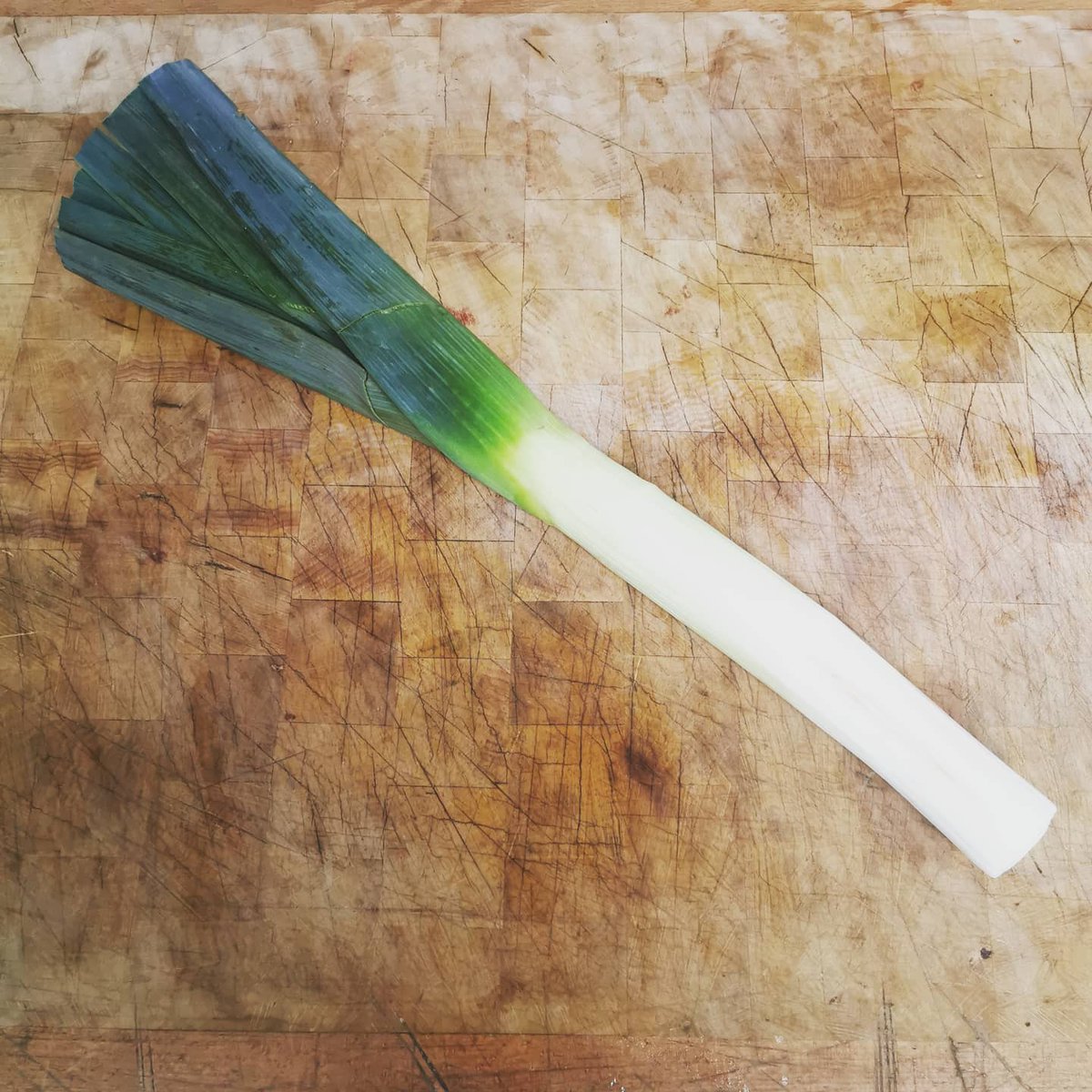 romain_leboeuf's tweet image. Un #poireau sur un #billot de #boucher 😇
Il y a parfois des choses #insolites à la #boucherie #LEBOEUF 😅
C'est pas grave, je vais me faire un #bon #PotAuFeu avec ça 😍

#RomainLBF #LesLégumesCestLaVieOuaisEtMonCulCestDuPoulet #Humour #ParfoisJeMangeDuVert #Dérision #Plaisir