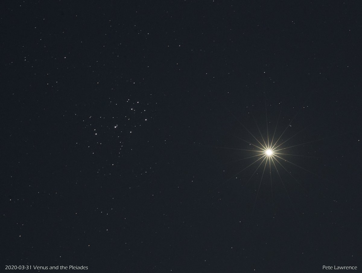 Venus meets the Pleiades. Actually they're going to get a lot closer over the next three nights!