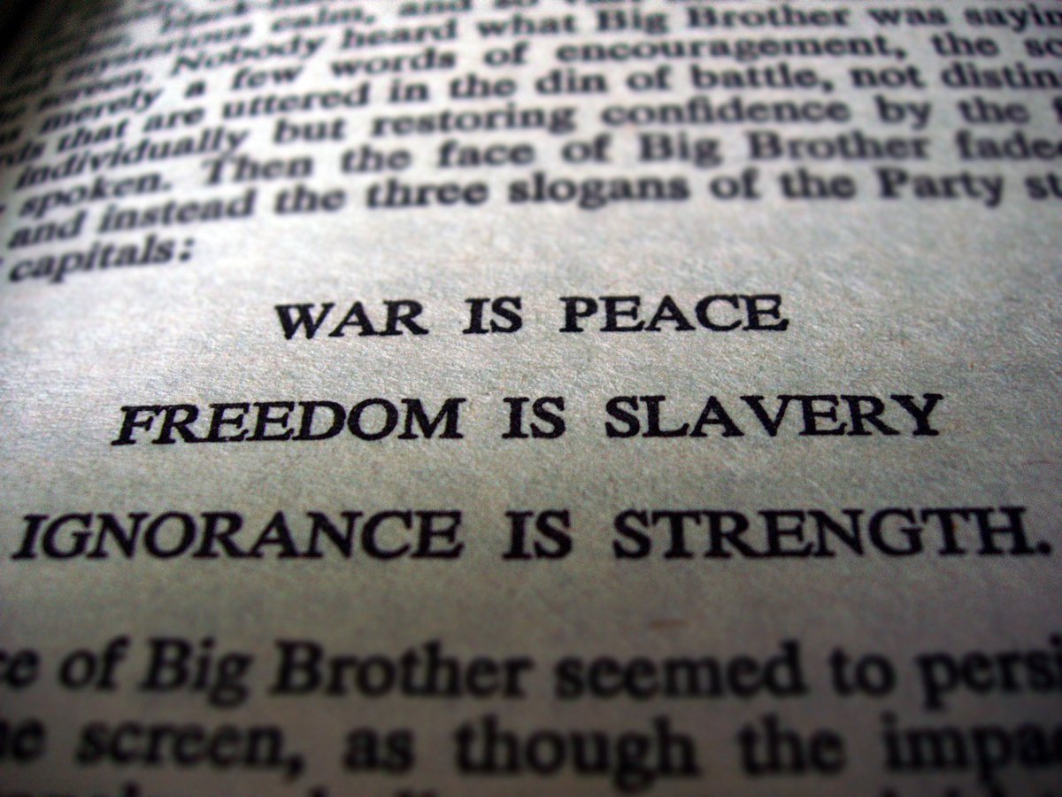 lbox327's tweet photo. @MyBrooklyn5 🙏♥️✌

Psychological Warfare Operations 

George Orwell’s novel entitled 1984 👇👇👇👇👇👇 https://t.co/0nExhrcnBQ