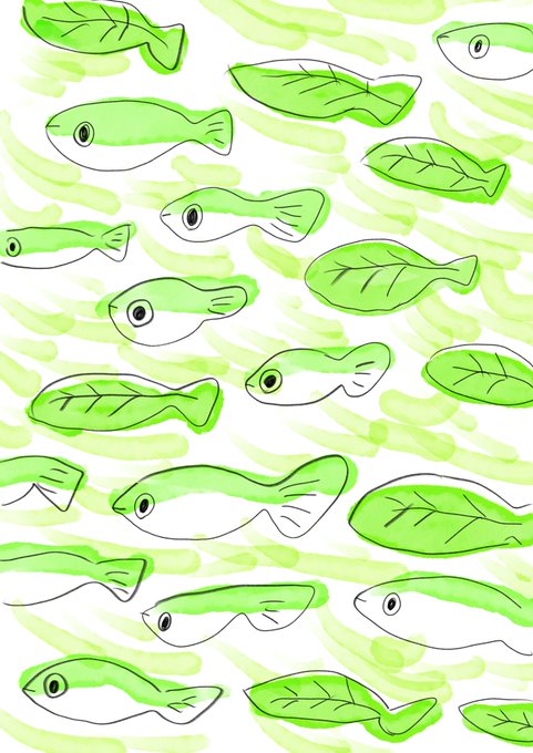 メダカのtwitterイラスト検索結果 古い順