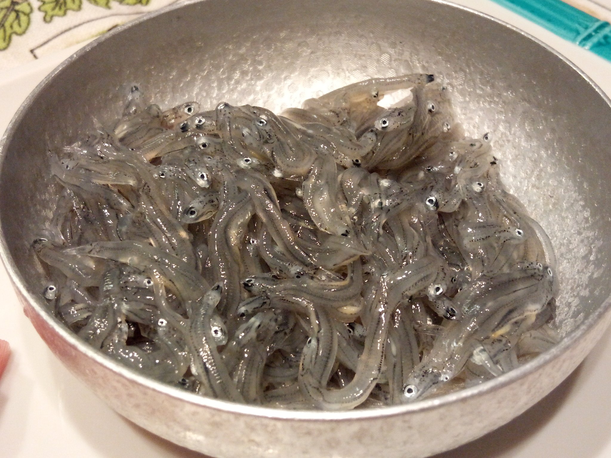 如月真弘 雲丹と中トロ 生シラス シャコ 生シラスは生姜醤油であえて ご飯にのせて食べた シャコは海の潮の旨味が詰まってて素晴らしかった T Co 7qghmbritm Twitter